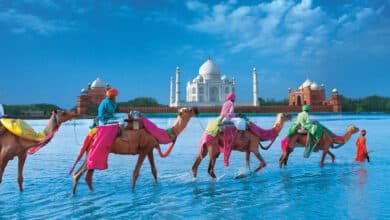 Popular Tour Operators in India