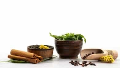 well health organic ayurveda