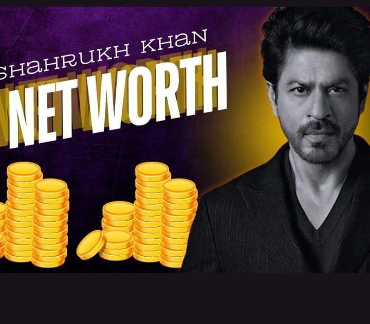 Shah Rukh Khan Net Worth