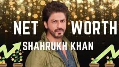 shah rukh khan net worth